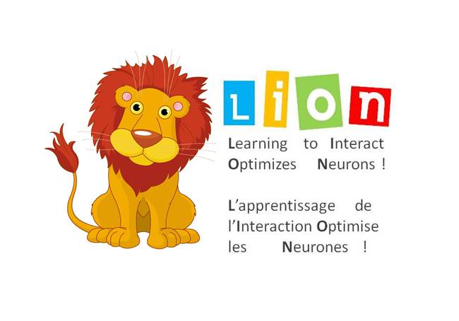 Lion - Developmental Neuropsychology Laboratory
